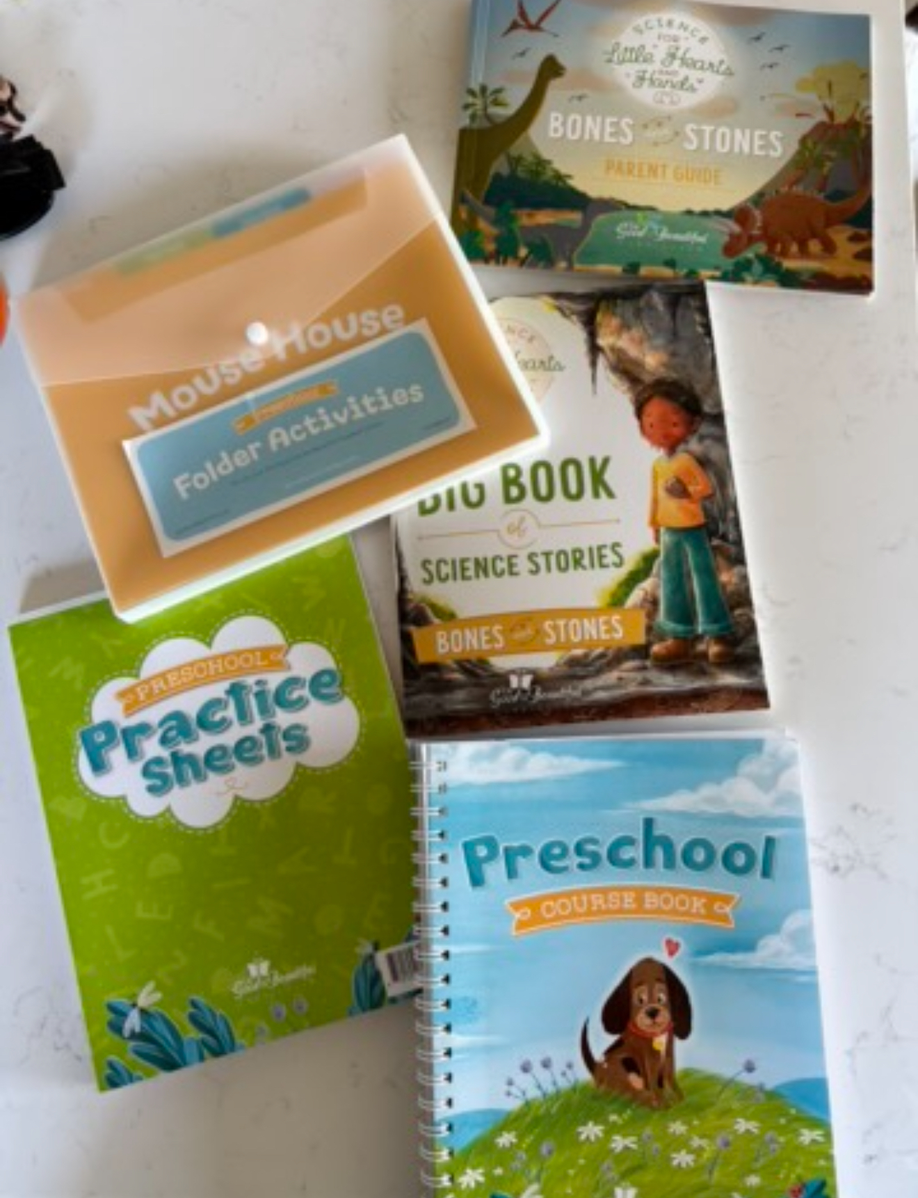 Best Homeschool Curriculum for Beginners